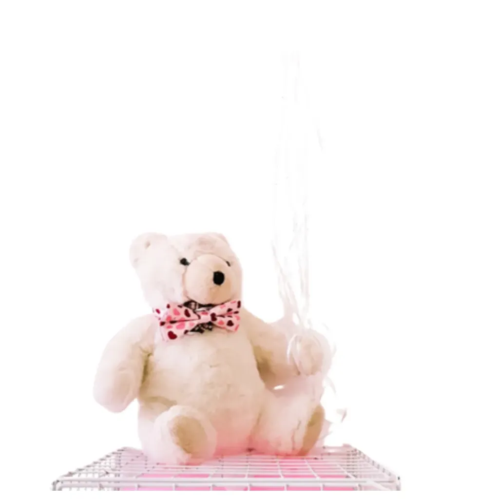 [TE-BE-SM] Teddy Bear -Small White