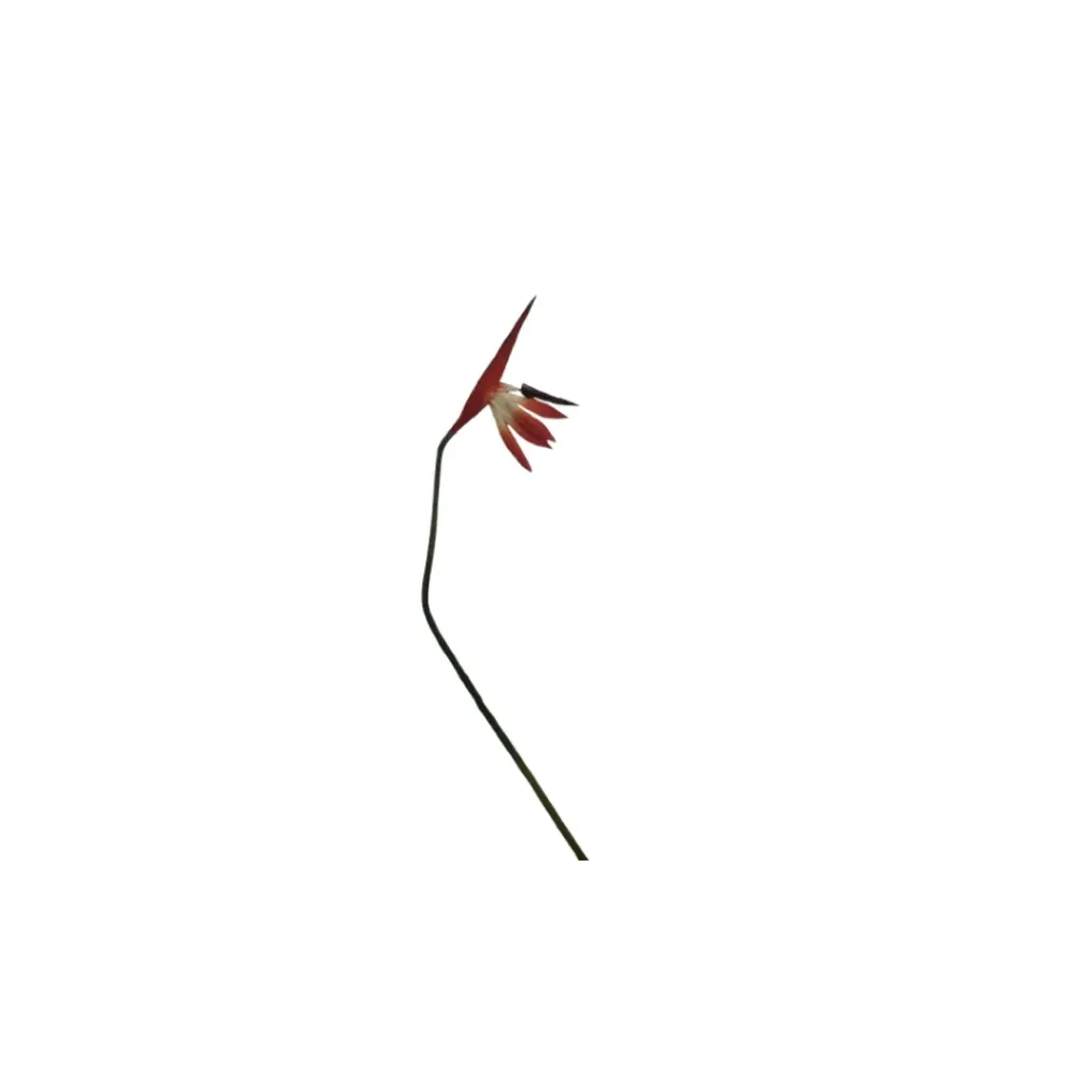 [FX-BR-PR] Faux Bird of Paradise