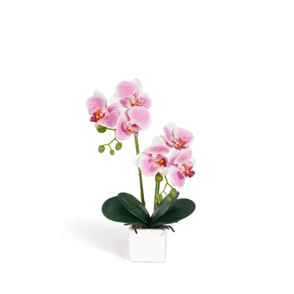Faux Orchid Plant
