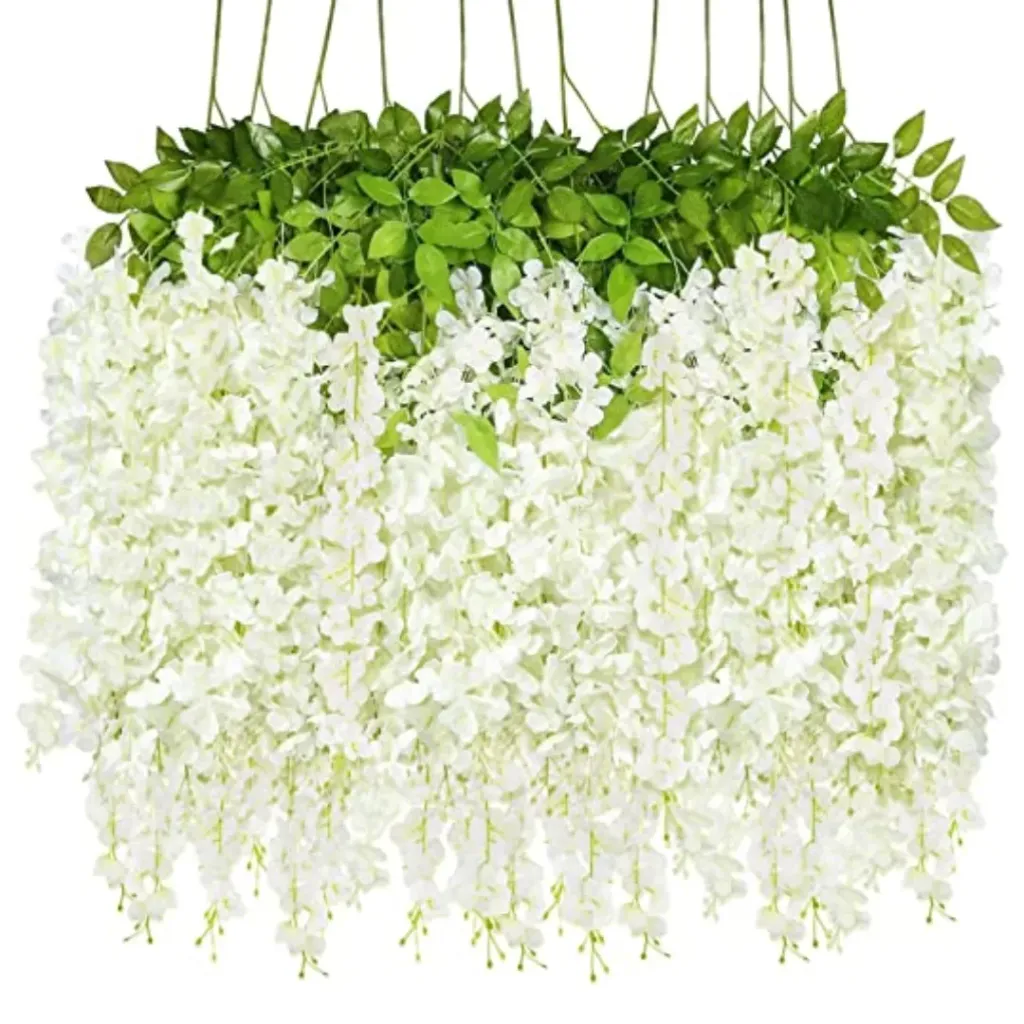 Hanging Wisteria Vine