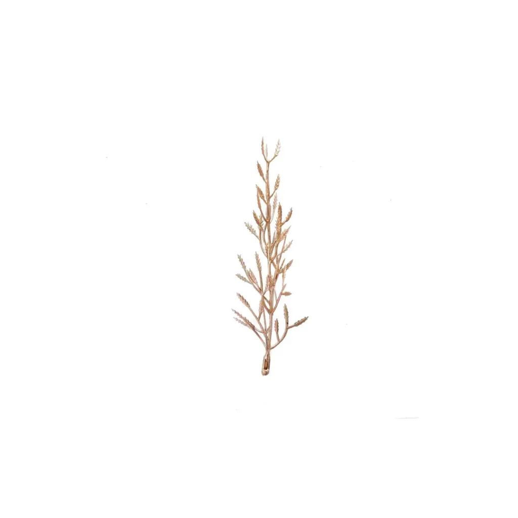 Gold Fern Leaf