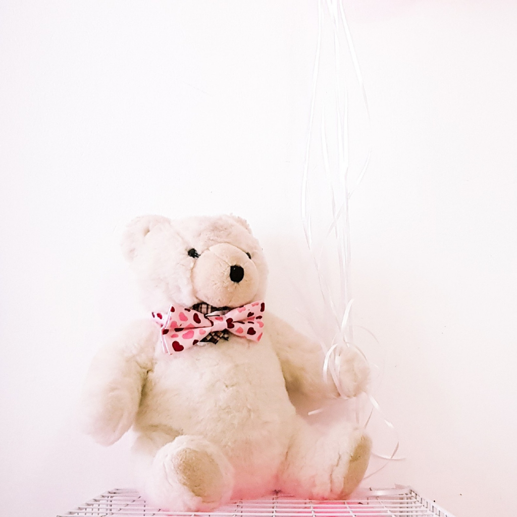 Teddy Bear -Small White