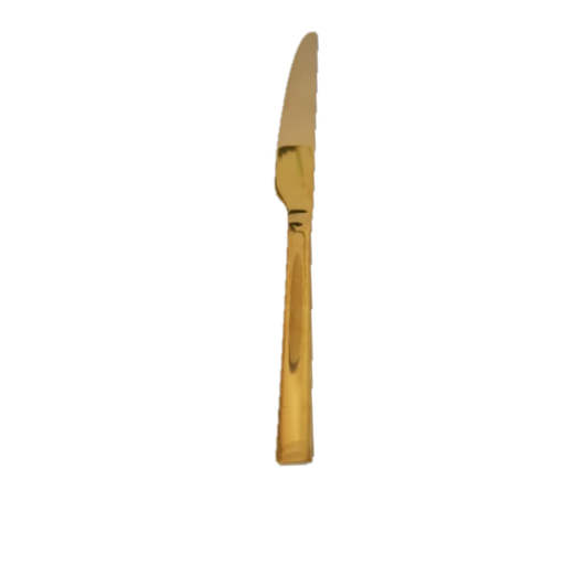 [DI-KN-GO] Gold Dinner Knife